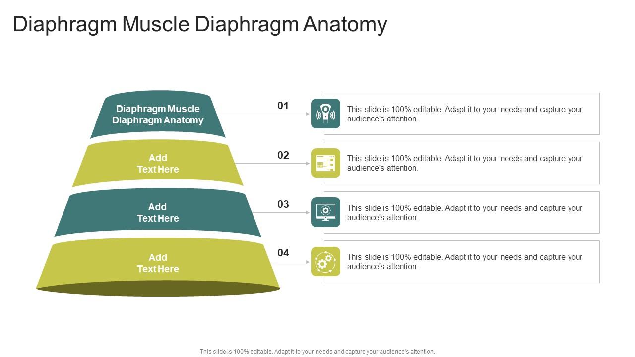 Diaphragm Muscle Diaphragm Anatomy In Powerpoint And Google Slides Cpb