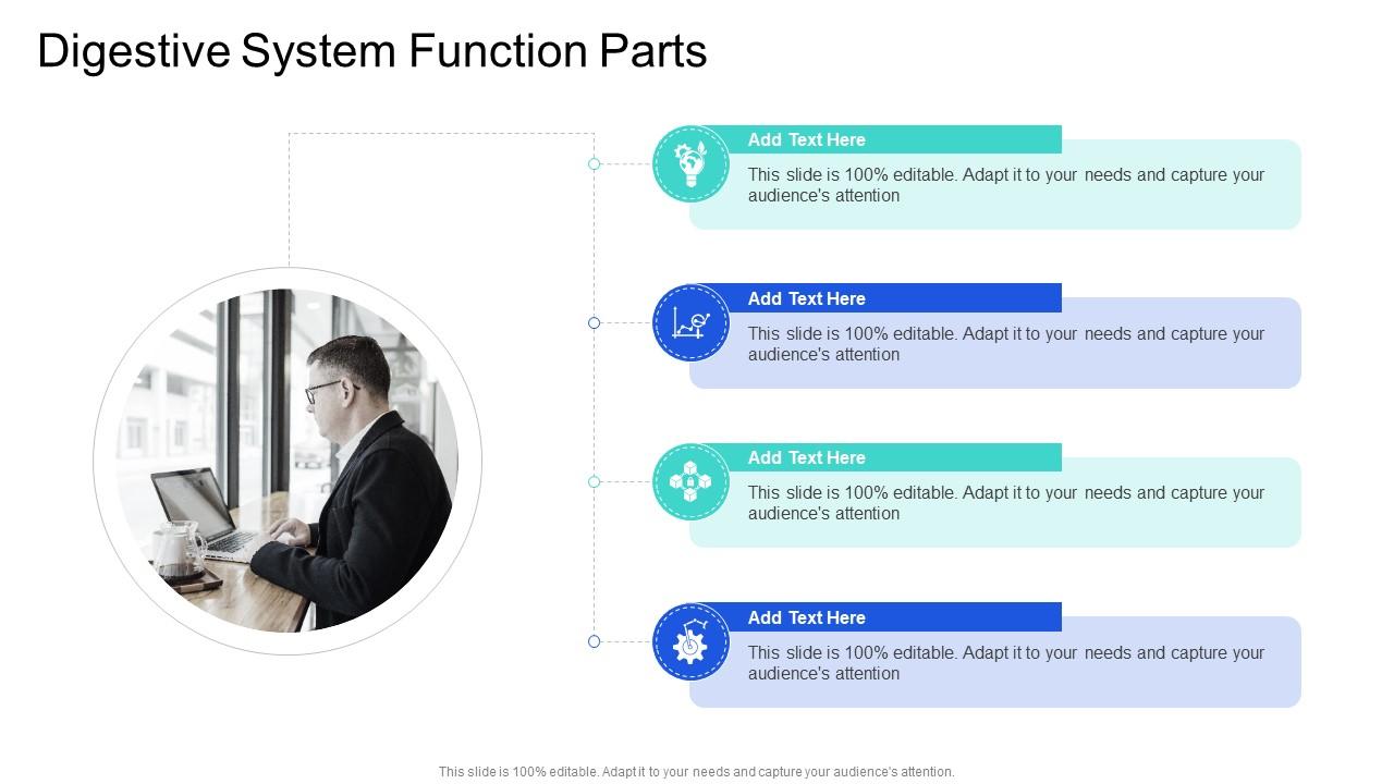 Digestive System Function Parts In Powerpoint And Google Slides Cpb