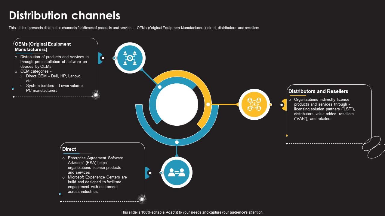 Distribution Channels Information Technology Services Provider Company Profile CP SS V
