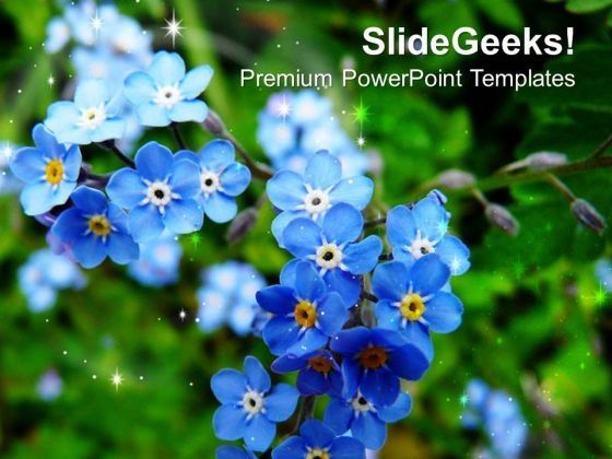 do_not_forget_me_powerpoint_templates_ppt_backgrounds_for_slides_0513_title.jpg