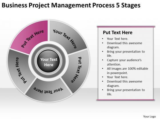 download_project_management_process_5_stages_business_plan_examples_powerpoint_slides_1.jpg