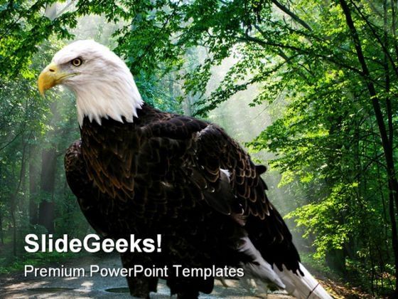 eagle_animals_powerpoint_template_1010_title.jpg
