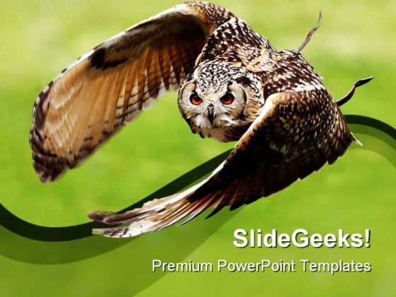eagle_owl_in_flight_animals_powerpoint_templates_and_powerpoint_backgrounds_0111_title.jpg