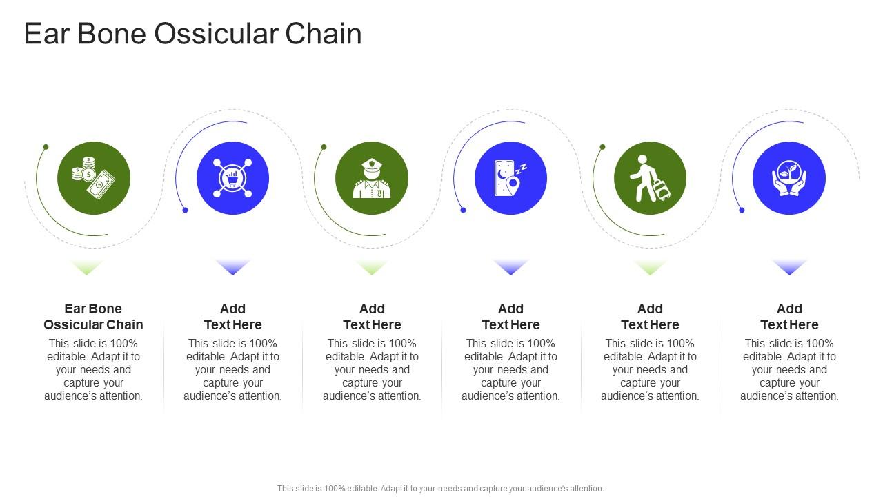 Ear Bone Ossicular Chain In Powerpoint And Google Slides Cpb