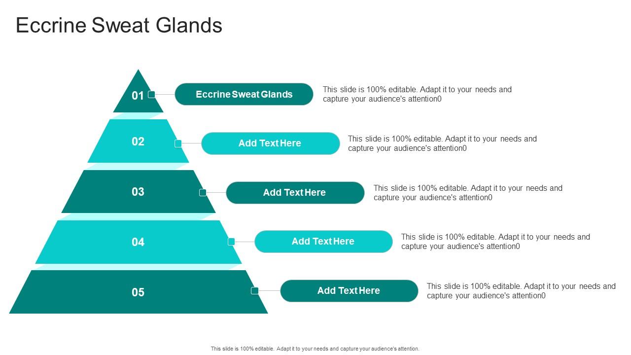 Eccrine Sweat Glands In Powerpoint And Google Slides Cpb