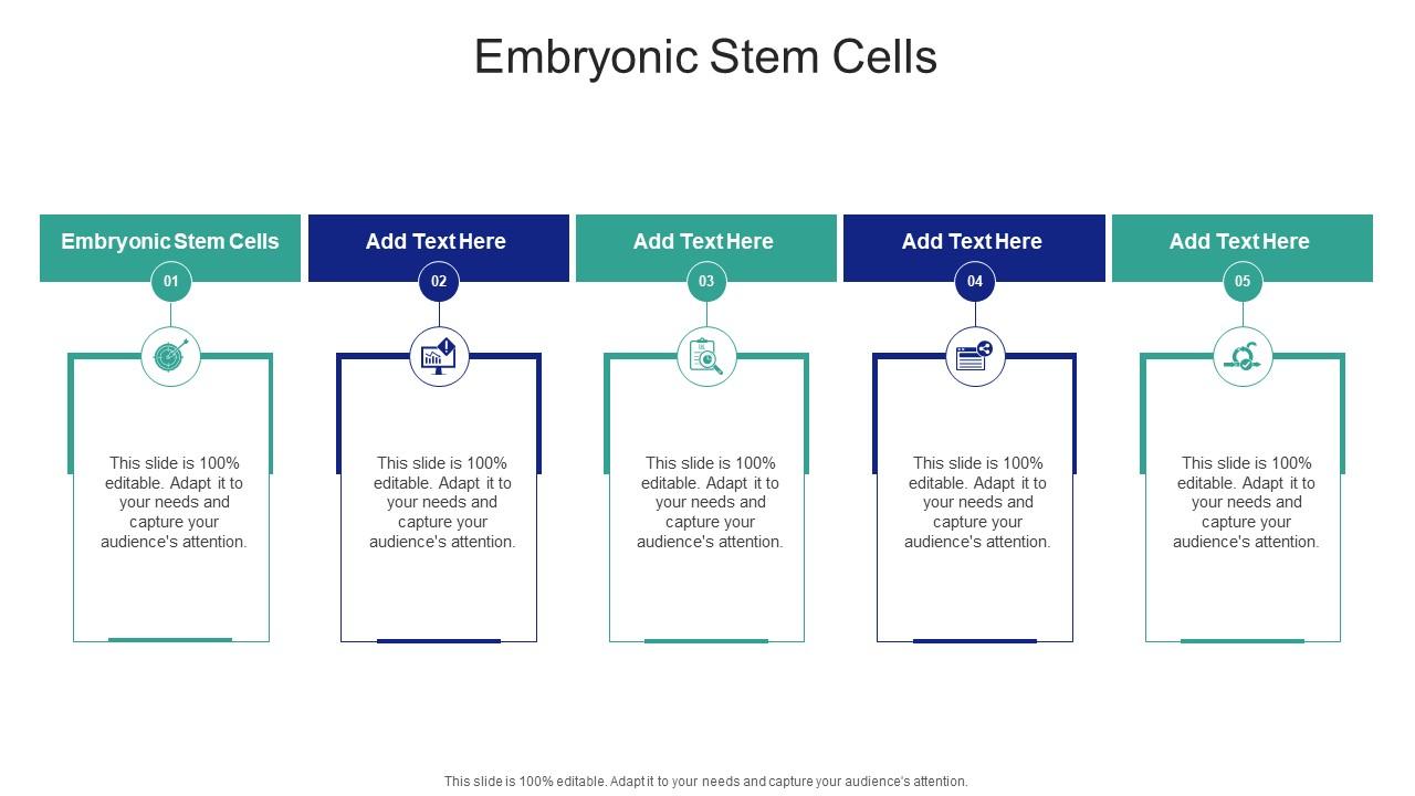 Embryonic Stem Cells In Powerpoint And Google Slides Cpb