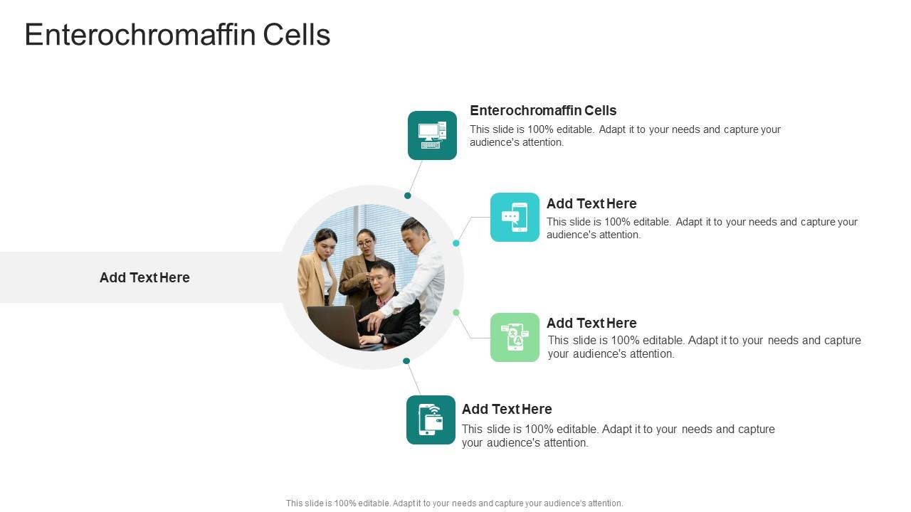 Enterochromaffin Cells In Powerpoint And Google Slides Cpb