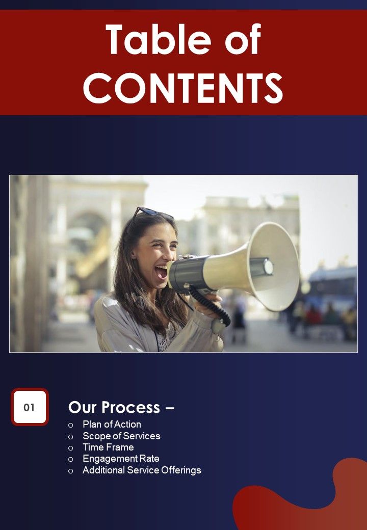 Enterprise Brand Ambassador Enlisting Proposal Table Of Contents One Pager Sample Example Document