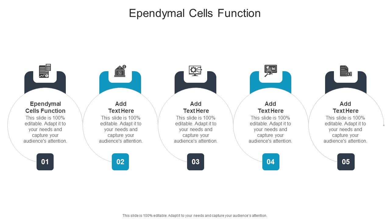 Ependymal Cells Function In Powerpoint And Google Slides Cpb