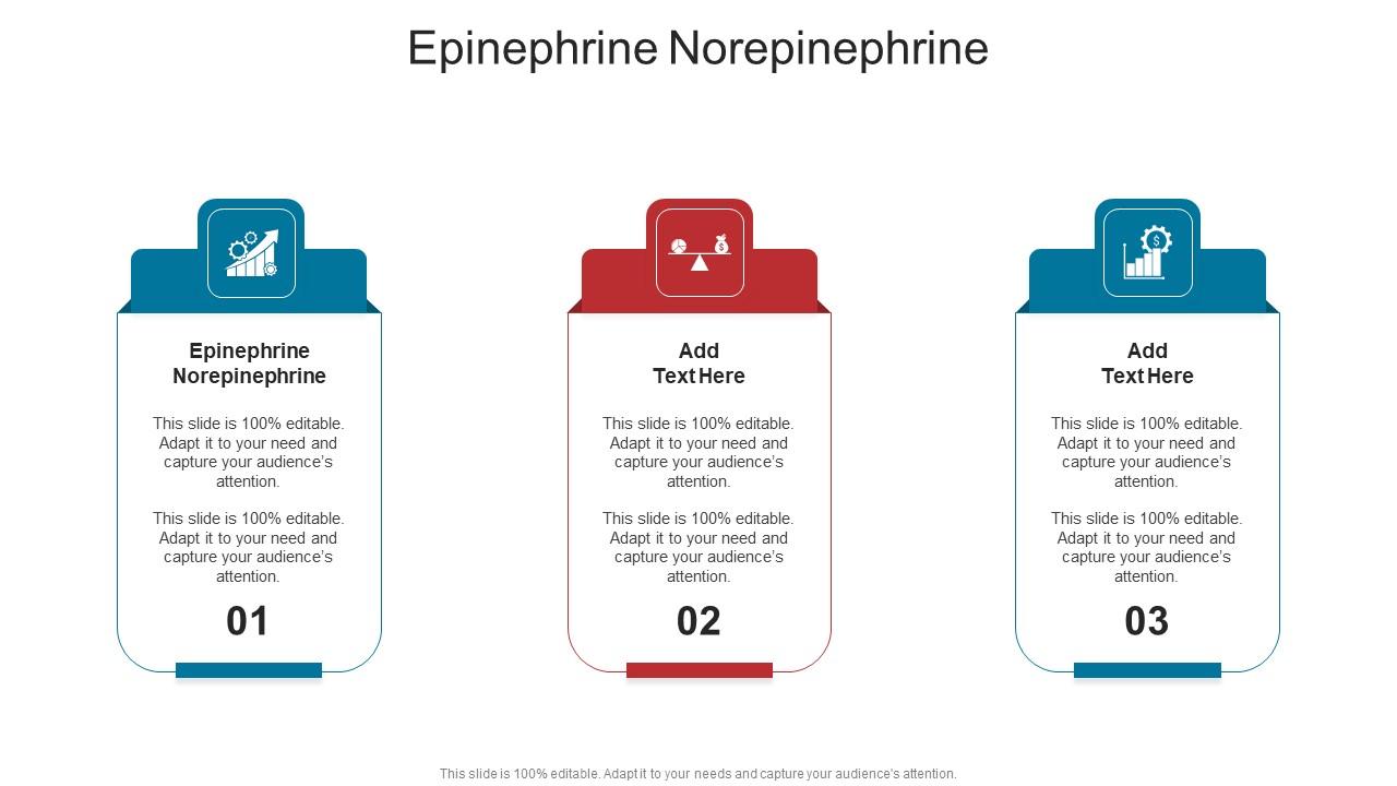 Epinephrine Norepinephrine In Powerpoint And Google Slides Cpb