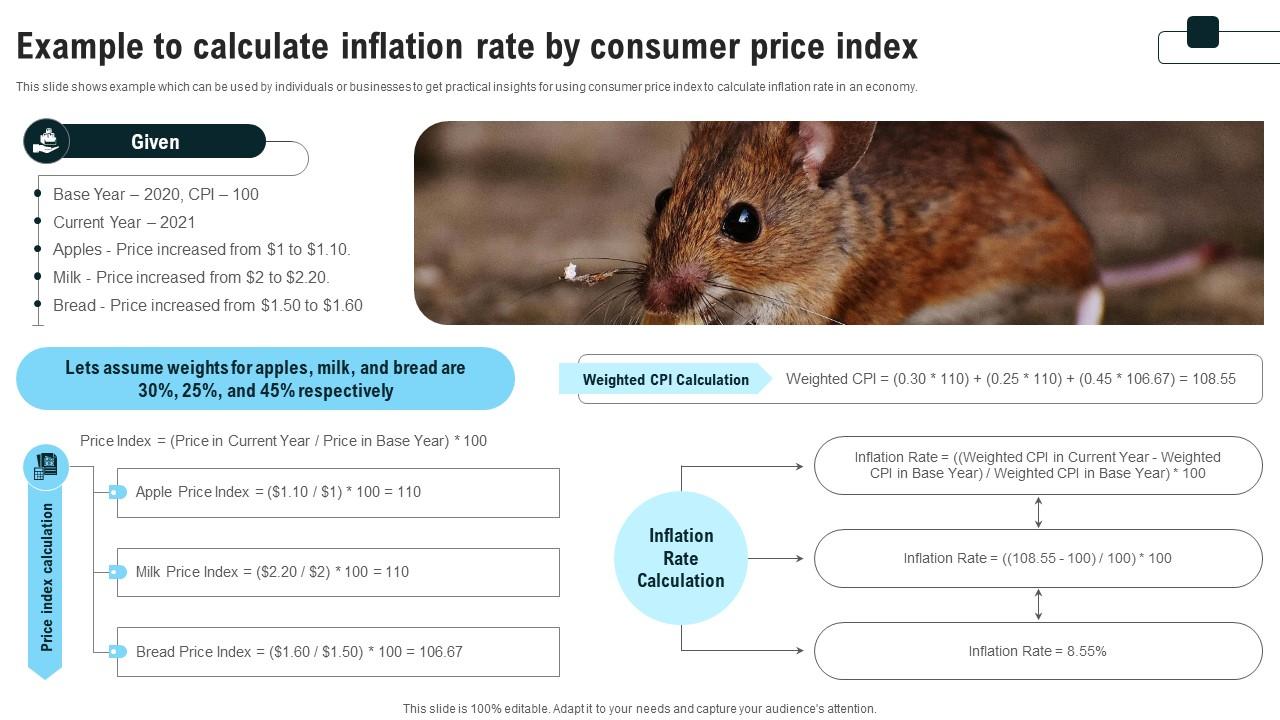 Example To Calculate Inflation Rate By Consumer Strategies For Inflation A Tactical Guide Fin SS V