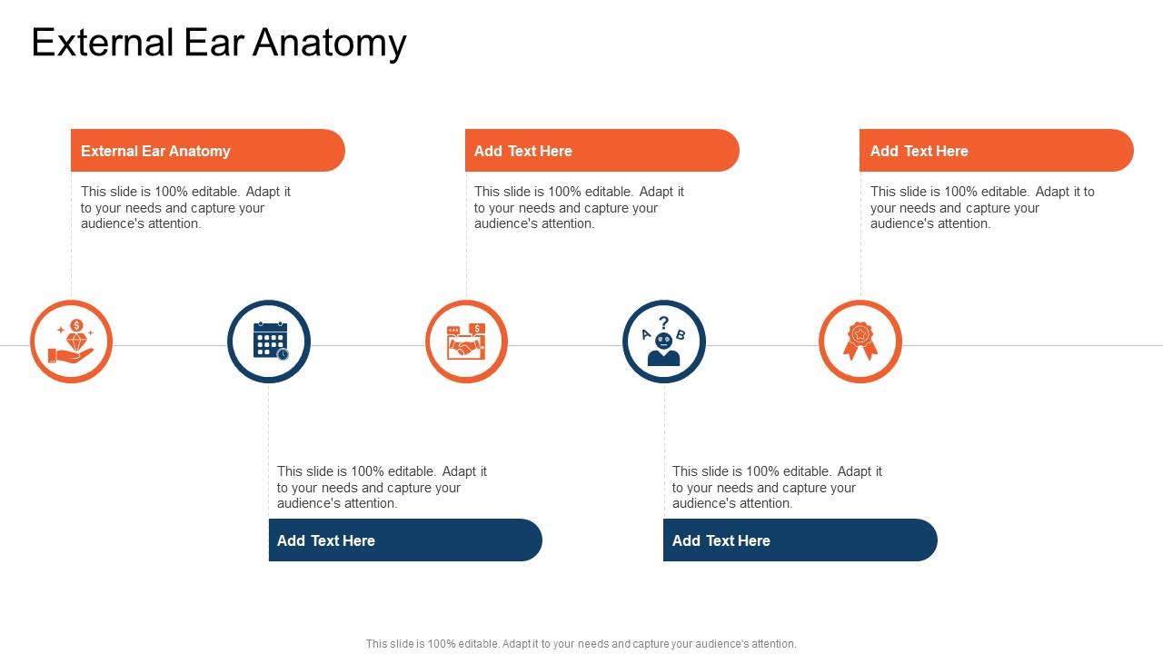 External Ear Anatomy In Powerpoint And Google Slides Cpb