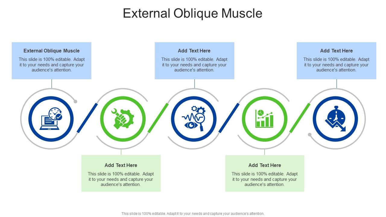 External Oblique Muscle In Powerpoint And Google Slides Cpb