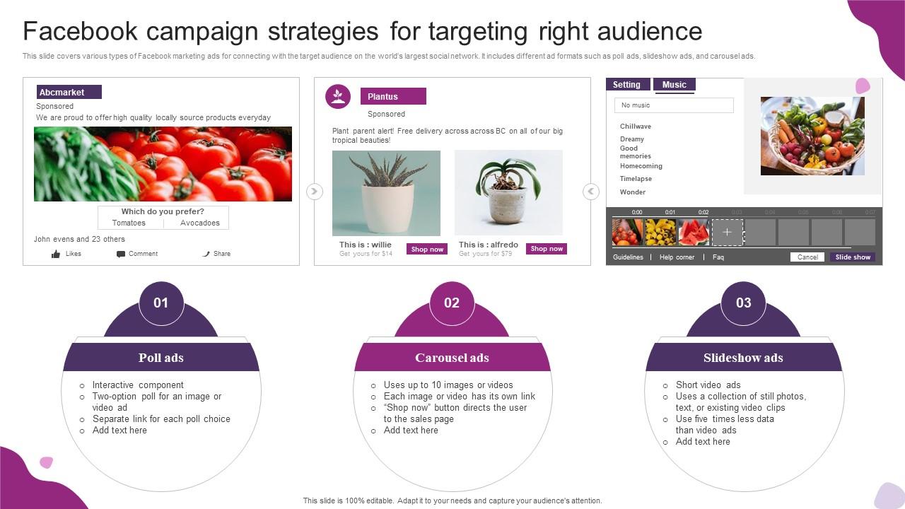 Facebook Campaign Strategies For Targeting Right Powerful Marketing Techniques Strategy SS V