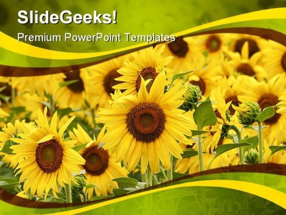 field_of_sunflowers_beauty_powerpoint_themes_and_powerpoint_slides_0311_title.jpg