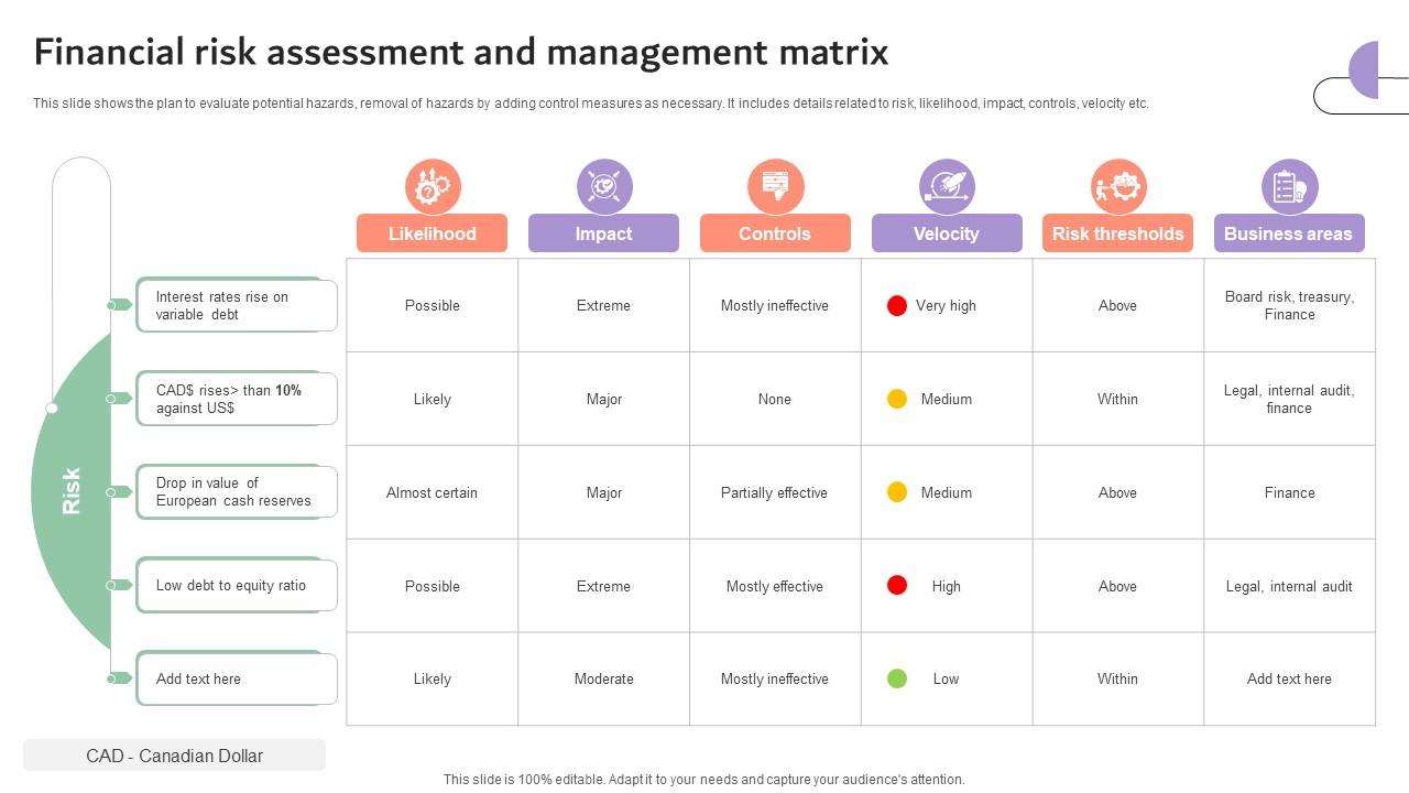 Financial Risk Assessment And Management Matrix Company Risk Monitoring And Mitigation DTE SS V