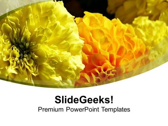 flower_background_with_abstract_design_powerpoint_templates_ppt_backgrounds_for_slides_0613_title.jpg
