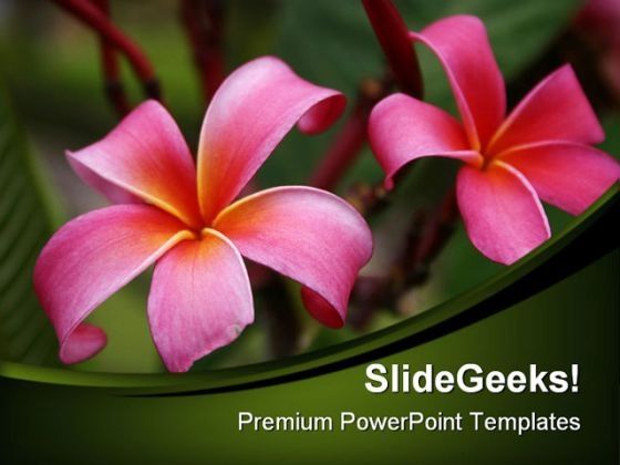flowers_beauty_powerpoint_templates_and_powerpoint_backgrounds_0311_title.jpg