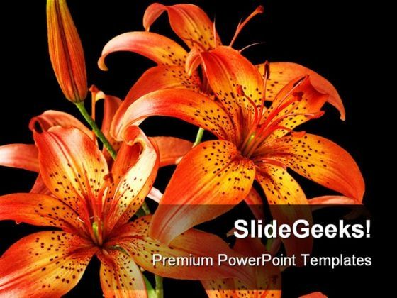 flowers_lily_beauty_powerpoint_backgrounds_and_templates_1210_title.jpg