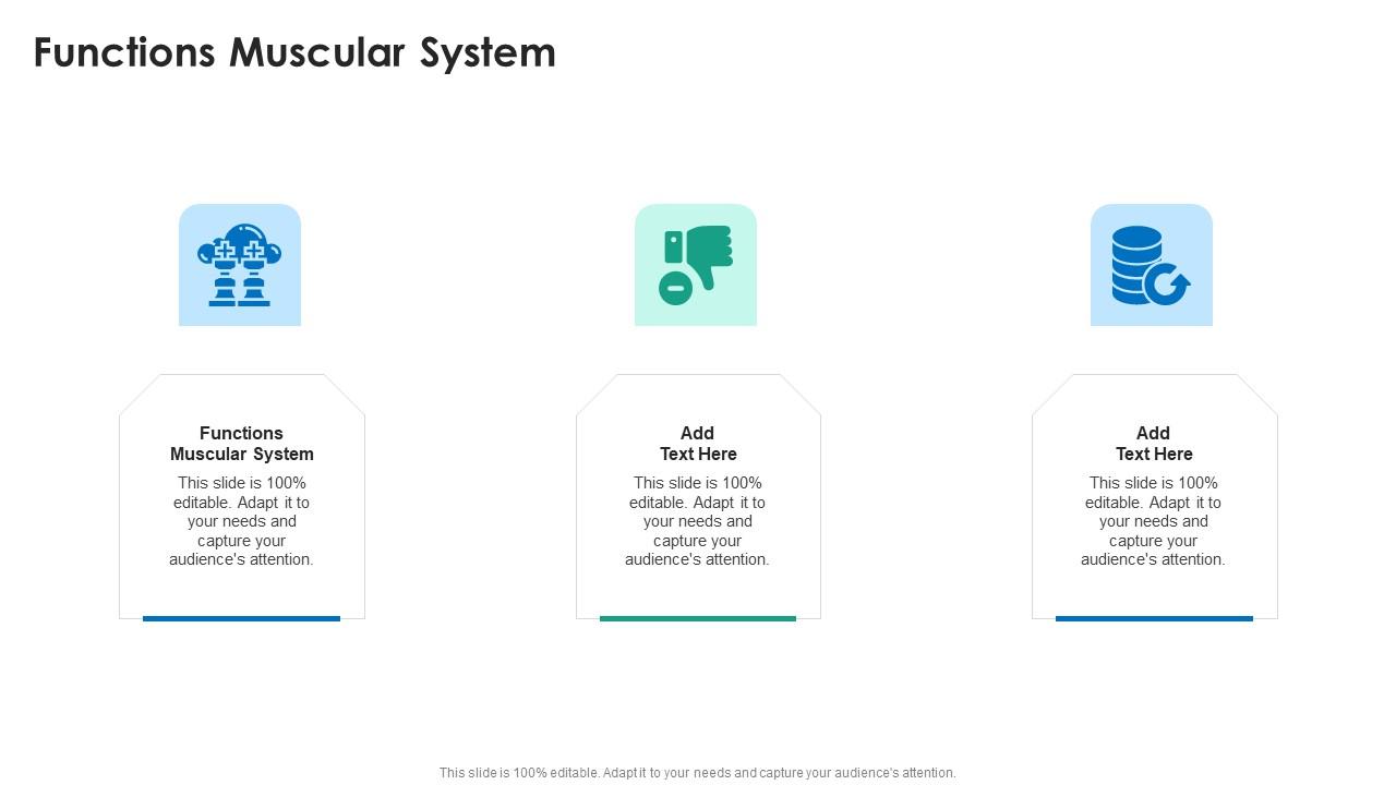 Functions Muscular System In Powerpoint And Google Slides Cpb