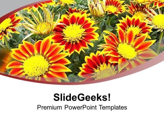gazanias_flower_for_thematic_background_powerpoint_templates_ppt_backgrounds_for_slides_0513_title.jpg