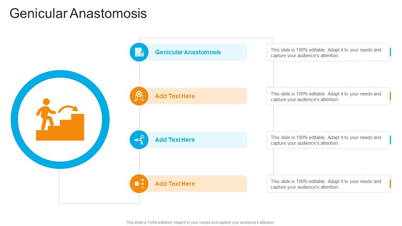 Genicular Anastomosis In Powerpoint And Google Slides Cpb