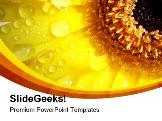 gerbera_and_water_drops_beauty_powerpoint_templates_and_powerpoint_backgrounds_0211_title.jpg