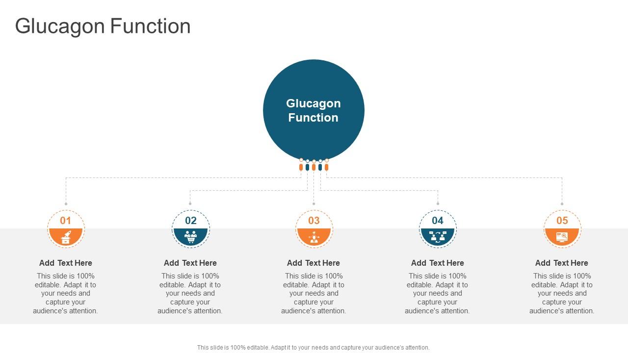 Glucagon Function In Powerpoint And Google Slides Cpb