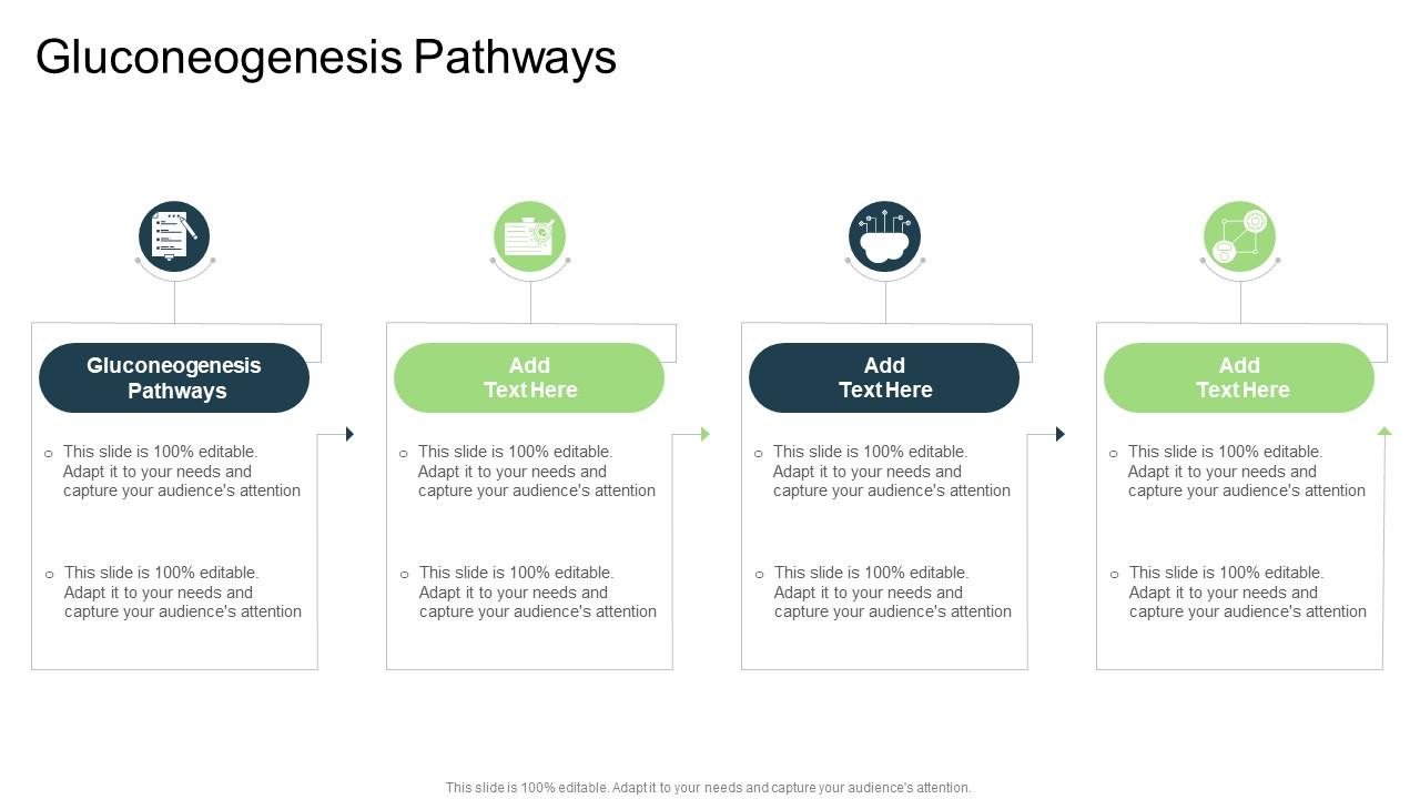 Gluconeogenesis Pathways In Powerpoint And Google Slides Cpb