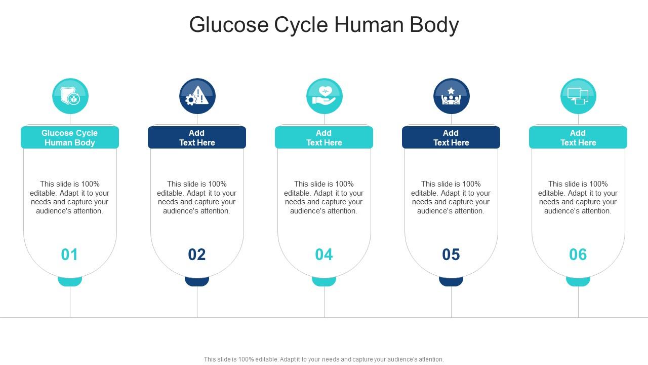 Glucose Cycle Human Body In Powerpoint And Google Slides Cpb