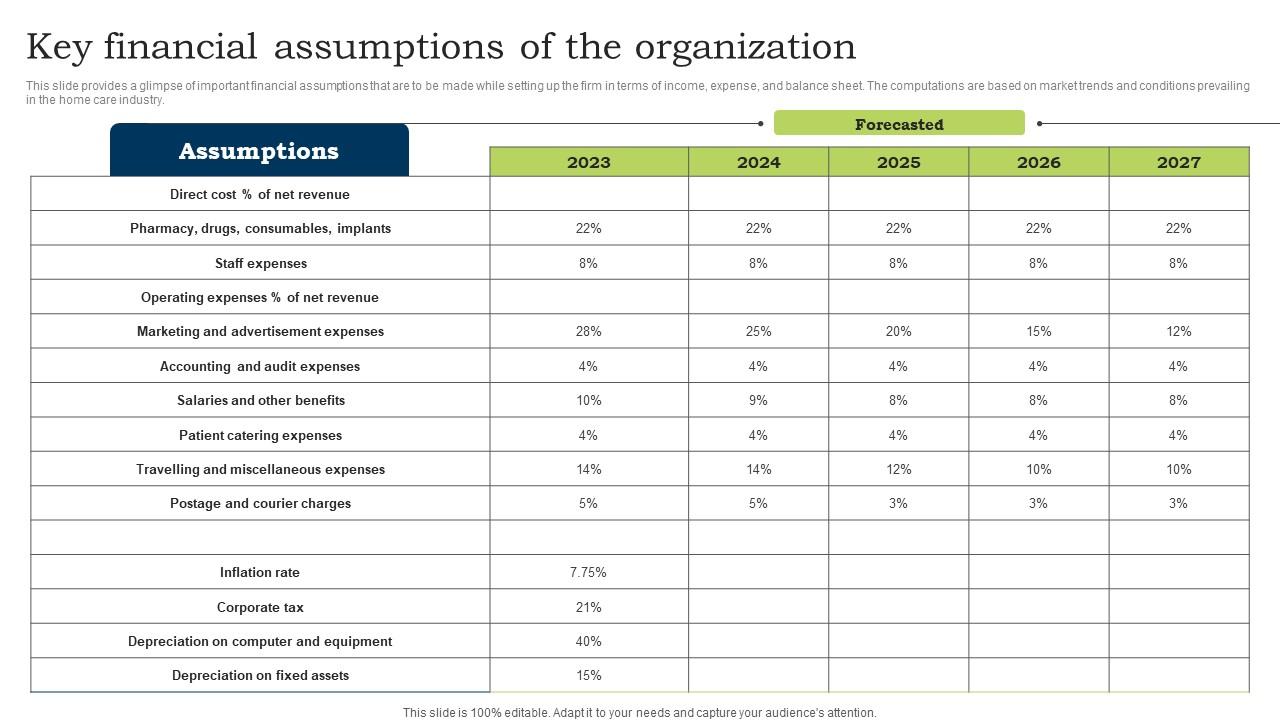 Go To Market Strategy Key Financial Assumptions Of The Organization Structure Pdf