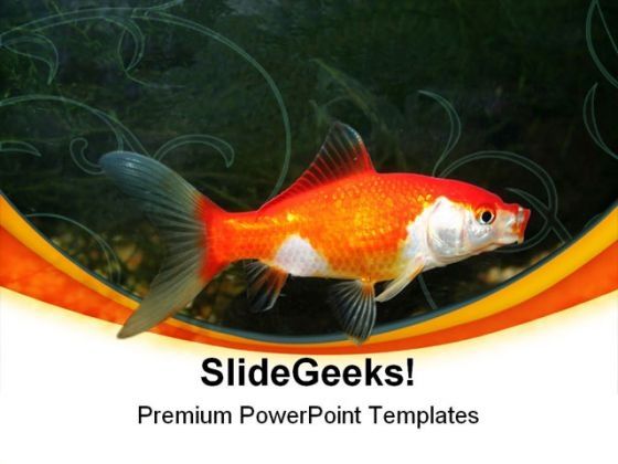 golden_fish01_animals_powerpoint_templates_and_powerpoint_backgrounds_0211_title.jpg