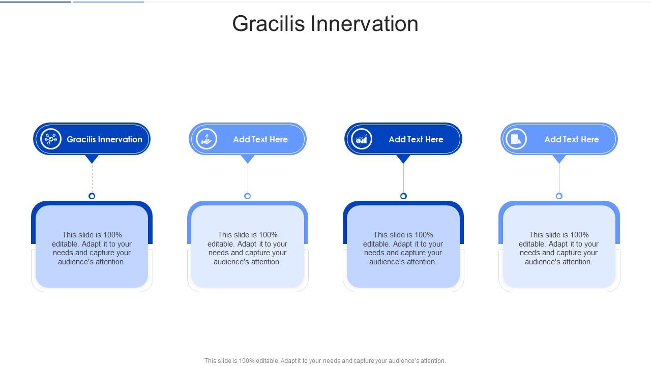 Gracilis Innervation In Powerpoint And Google Slides Cpb