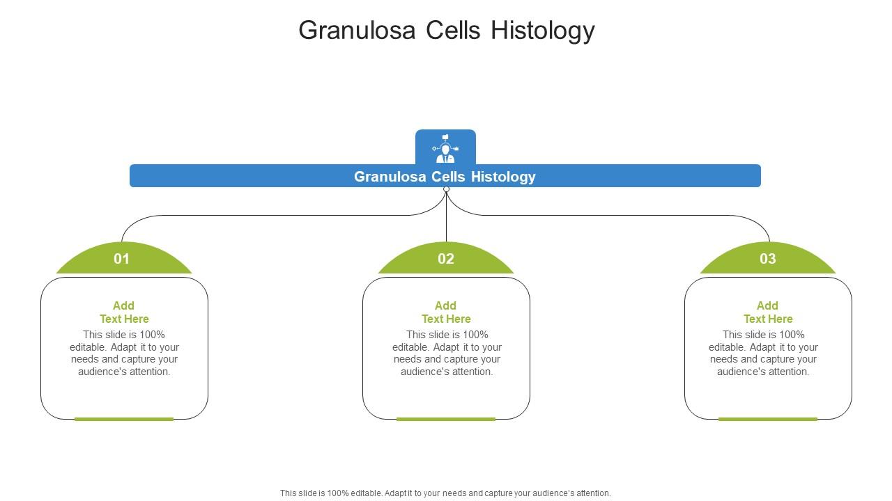 Granulosa Cells Histology In Powerpoint And Google Slides Cpb