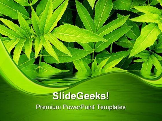 green_leaves_nature_powerpoint_themes_and_powerpoint_slides_0411_title.jpg