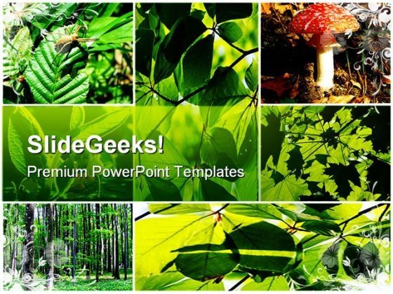 green_summer_forest_collage_nature_powerpoint_themes_and_powerpoint_slides_0611_title.jpg