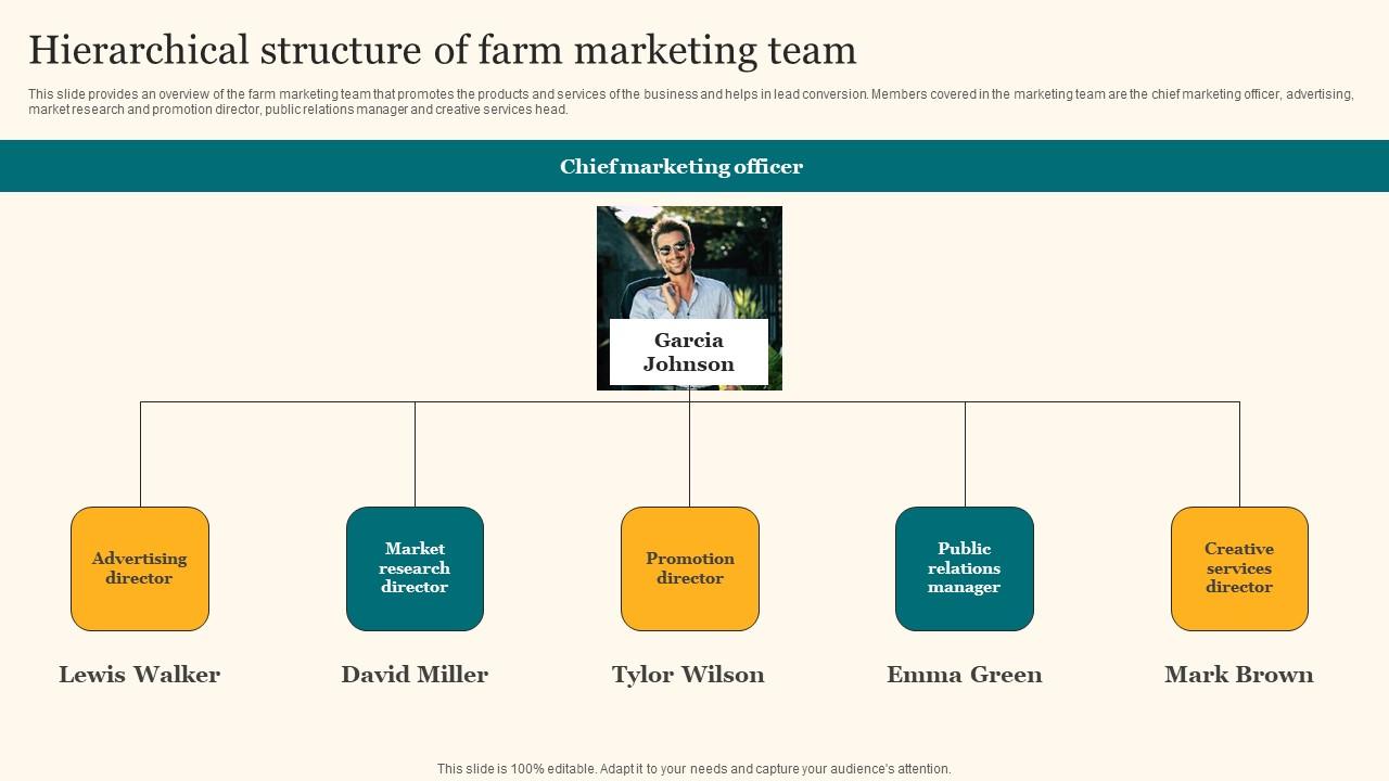 Hierarchical Structure Of Farm Marketing Team Agricultural Product Promotion Professional Pdf