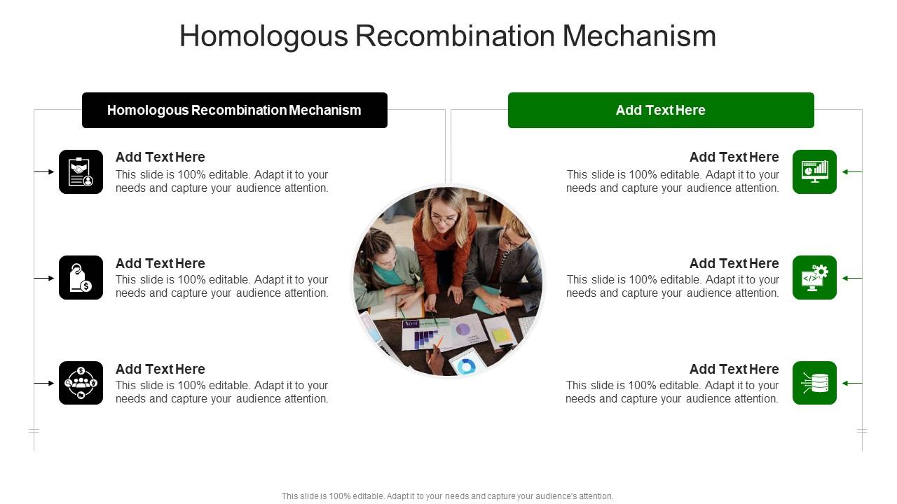 Homologous Recombination Mechanism In Powerpoint And Google Slides Cpb