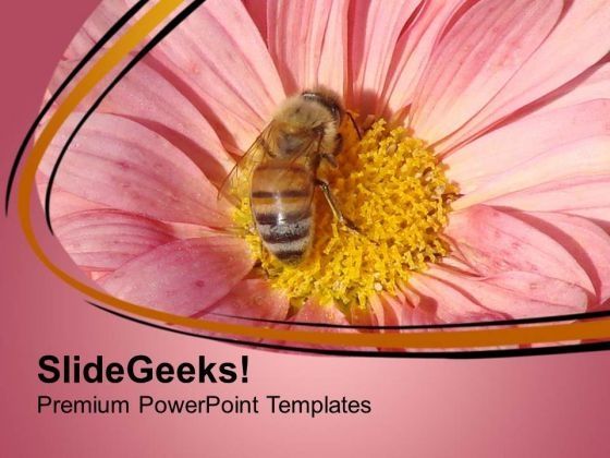 honey_bee_sucking_nector_of_flower_powerpoint_templates_ppt_backgrounds_for_slides_0513_title.jpg