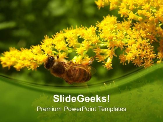 honey_bee_with_yellow_flowers_powerpoint_templates_ppt_backgrounds_for_slides_0613_title.jpg