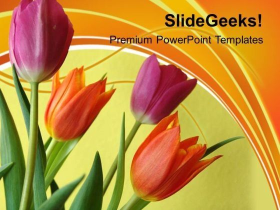 illustration_of_colorful_tulip_flowers_powerpoint_templates_ppt_backgrounds_for_slides_0213_title.jpg