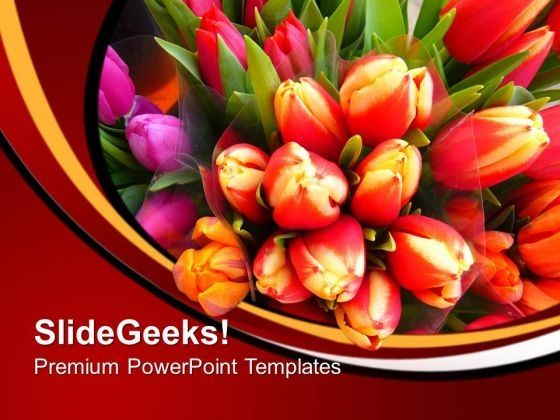 image_of_colorful_tulips_flowers_powerpoint_templates_ppt_backgrounds_for_slides_0213_title.jpg