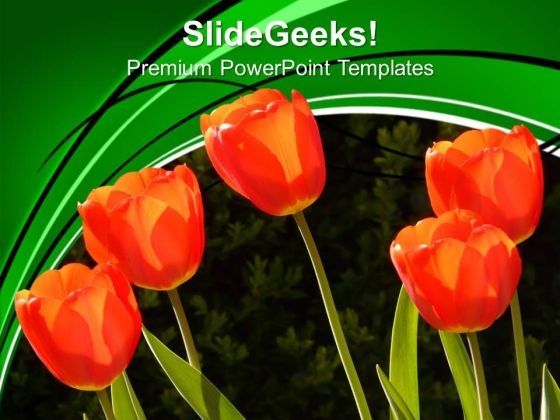 image_of_red_tulips_powerpoint_templates_ppt_backgrounds_for_slides_0213_title.jpg