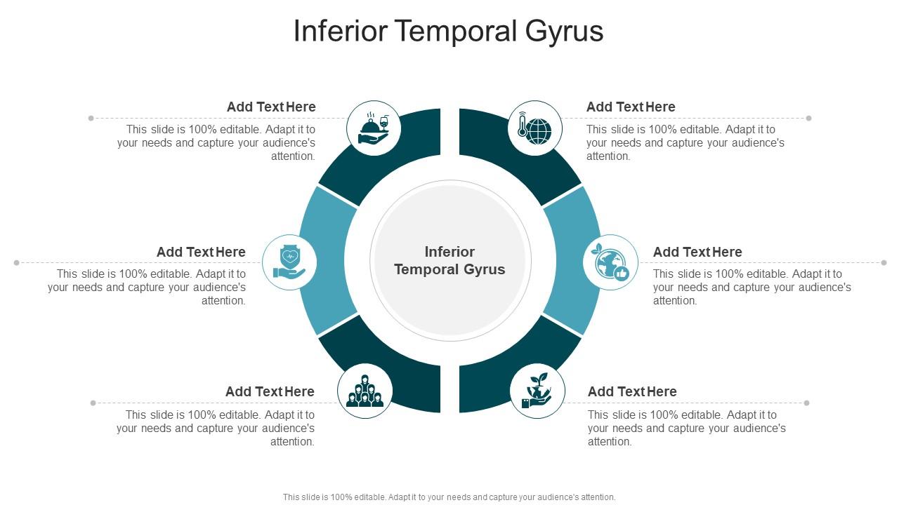 Inferior Temporal Gyrus In Powerpoint And Google Slides Cpb