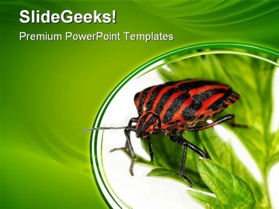 insect_animals_powerpoint_themes_and_powerpoint_slides_0511_title.jpg