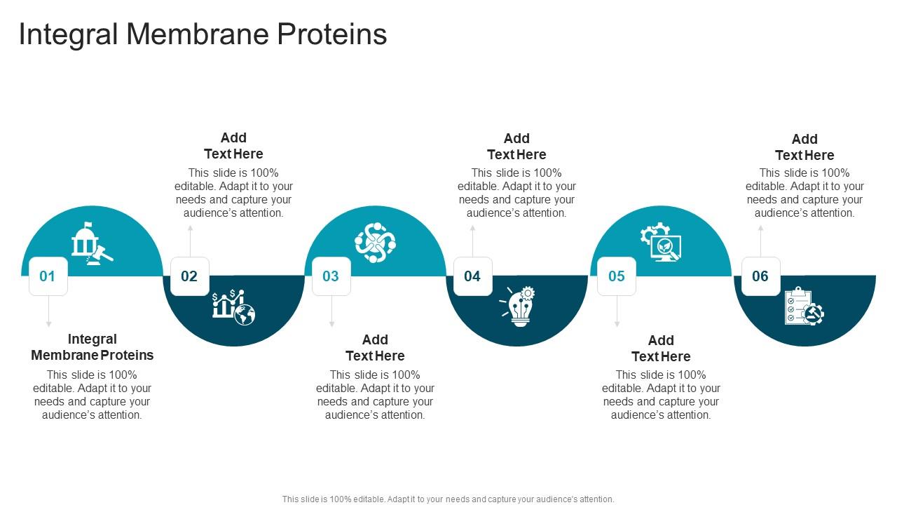 Integral Membrane Proteins In Powerpoint And Google Slides Cpb