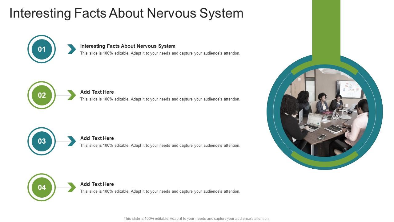 Interesting Facts About Nervous System In Powerpoint And Google Slides Cpb