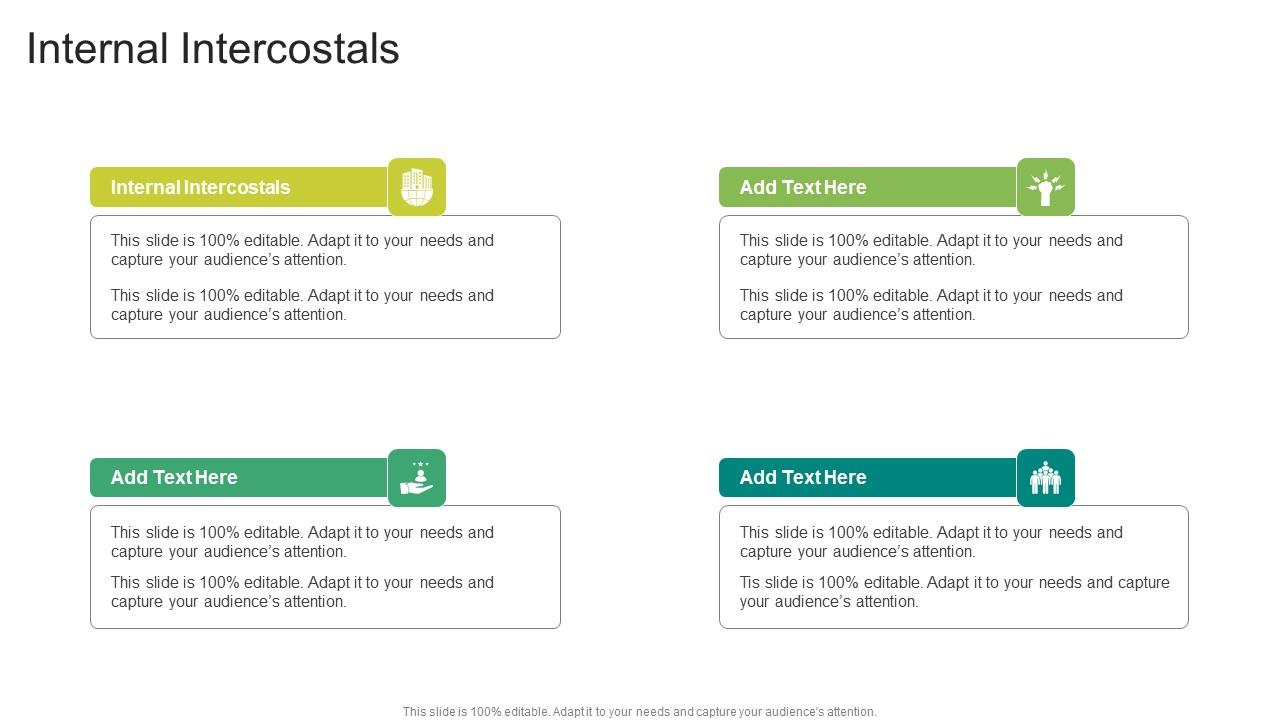 Internal Intercostals In Powerpoint And Google Slides Cpb