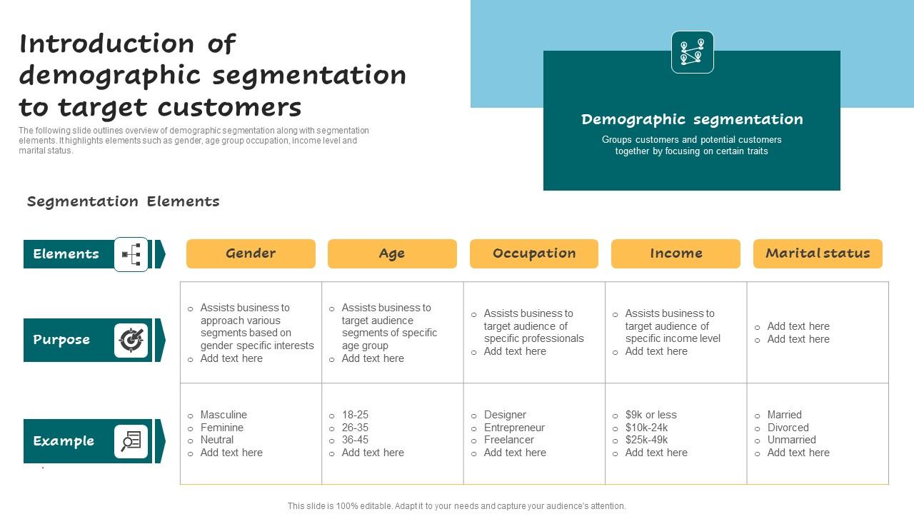Introduction Of Demographic Segmentation Successful Guide For Market Segmentation Template Pdf