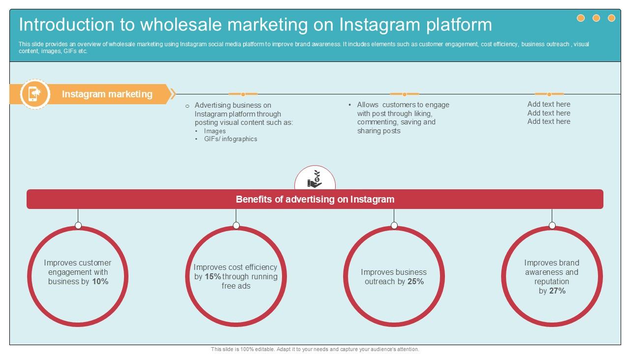 Introduction To Wholesale Marketing On Instagram Platform Ppt Slide